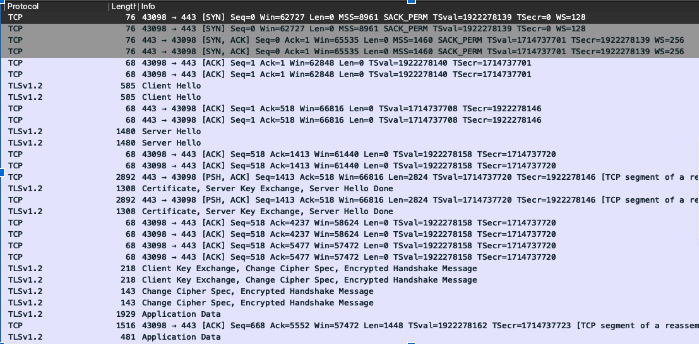 successful TLS connection